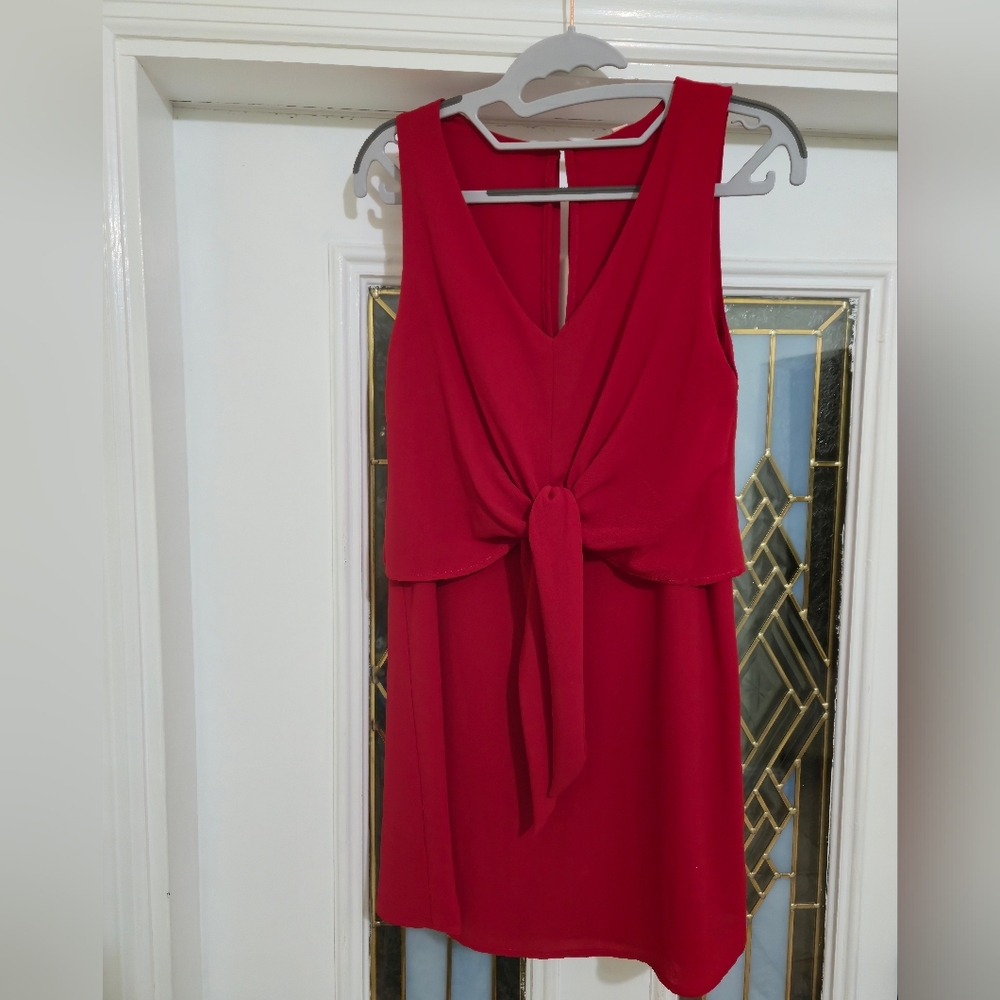 Tyche Red Boutique Mini Dress